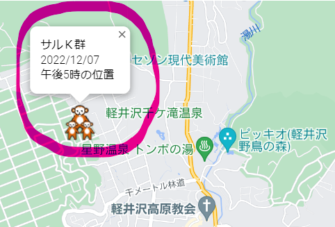 軽井沢さるクマ情報マップ